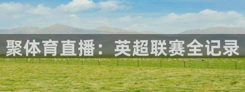 聚体育直播：英超联赛全记录