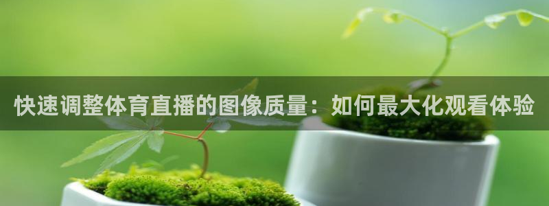 快速调整体育直播的图像质量：如何最大化观看体验