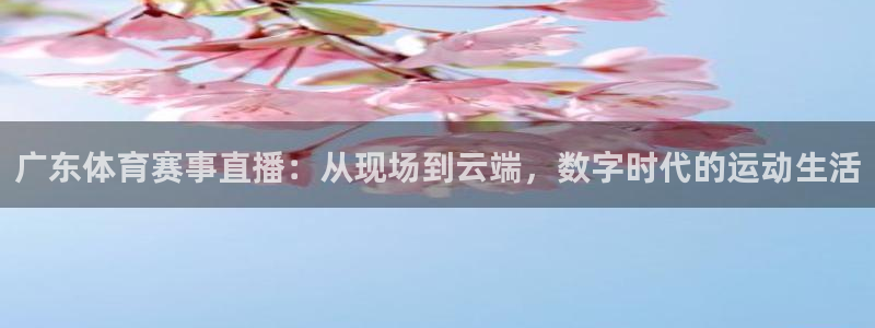 广东体育赛事直播：从现场到云端，数字时代的运动生活