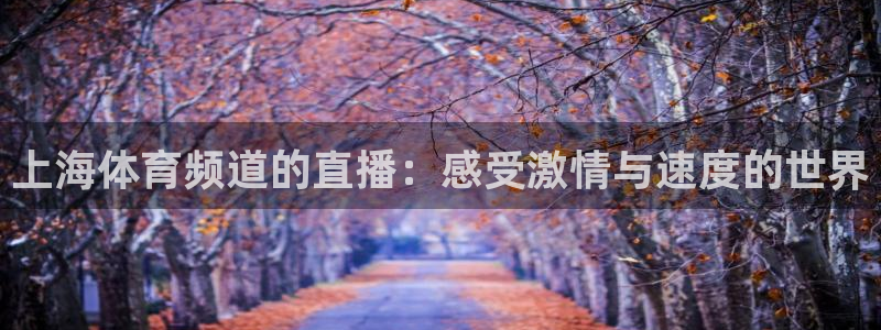 上海体育频道的直播：感受激情与速度的世界