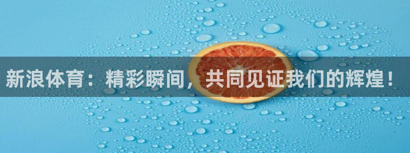 新浪体育：精彩瞬间，共同见证我们的辉煌！