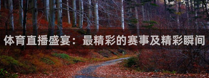 体育直播盛宴：最精彩的赛事及精彩瞬间
