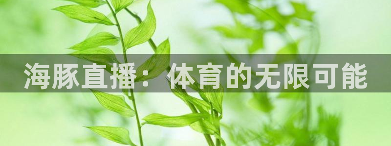 海豚直播：体育的无限可能